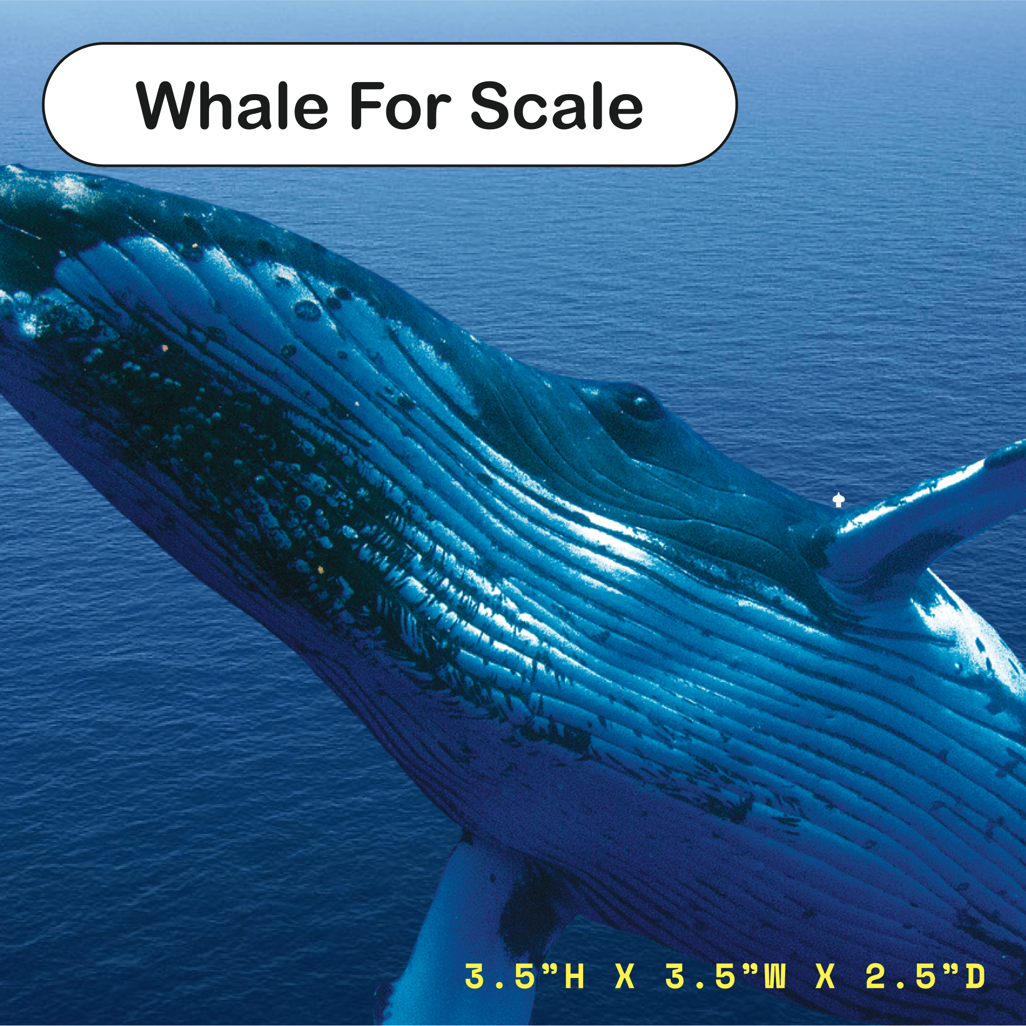 Night Light (Garlic)