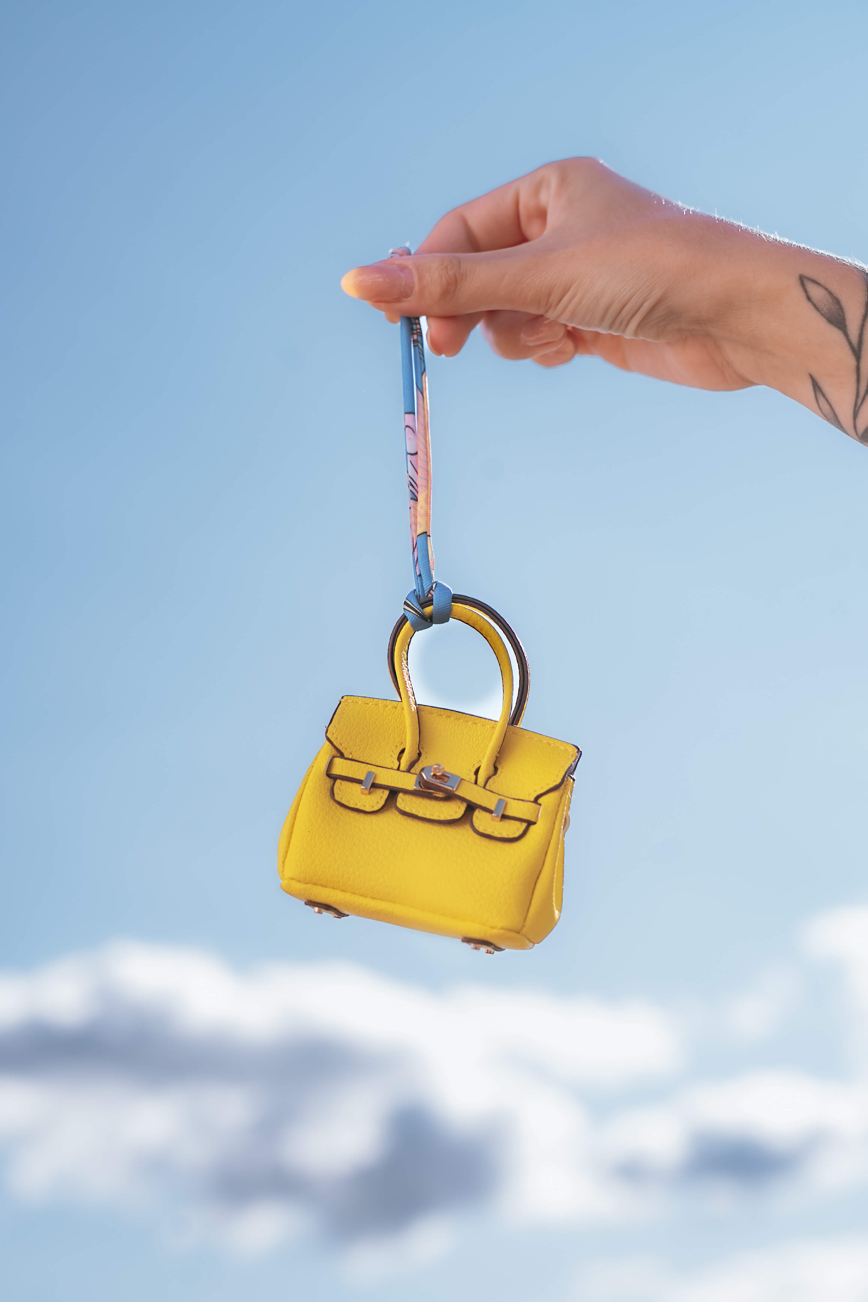 V.I.P. ASSPORT MINI B*RKIN