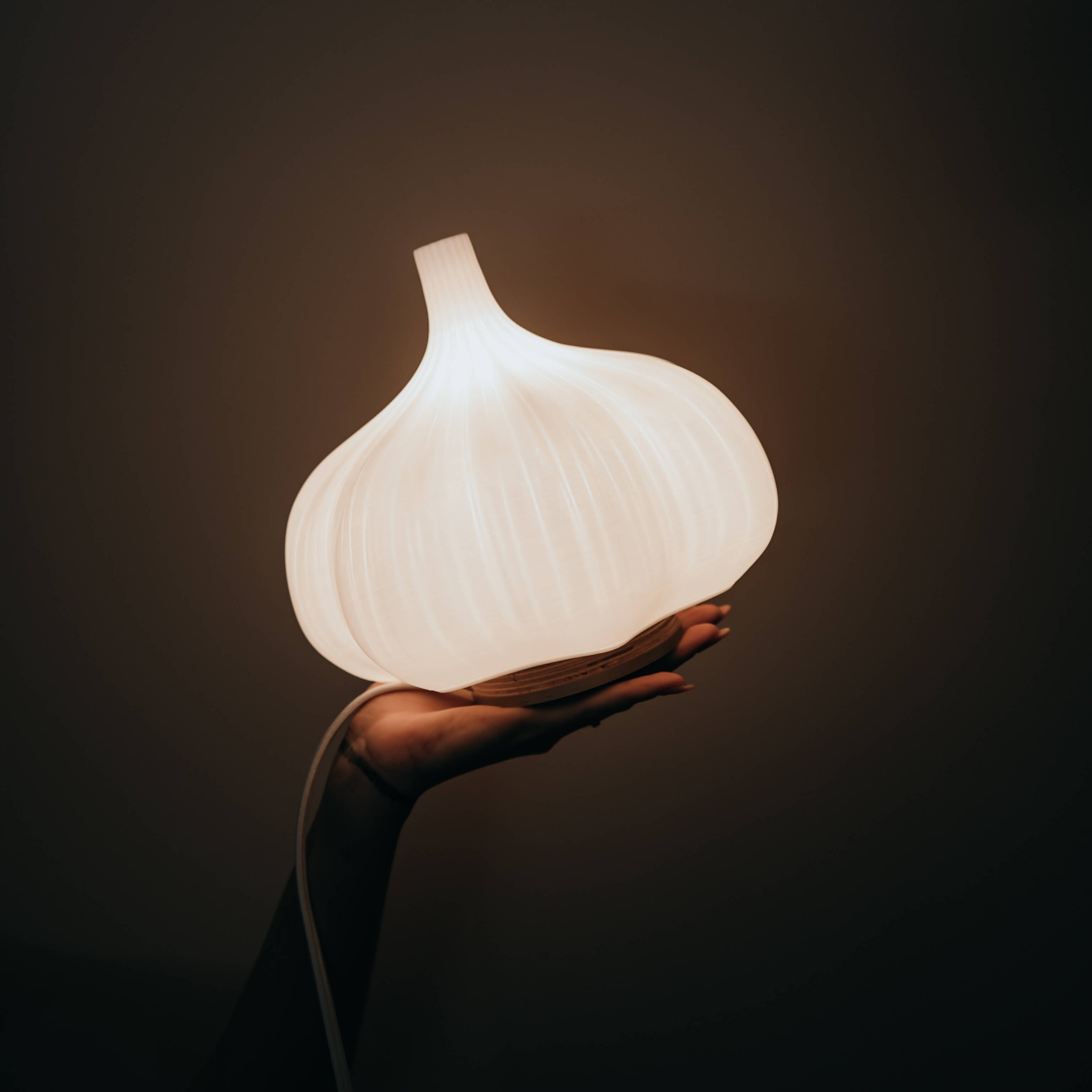 Garlic Table Lamp