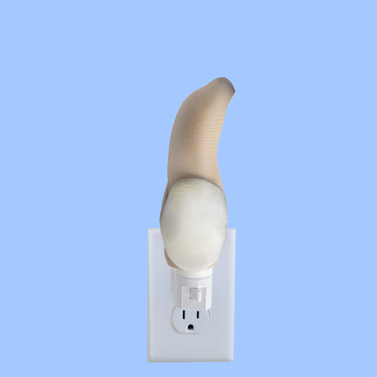 Night Light (Geoduck)